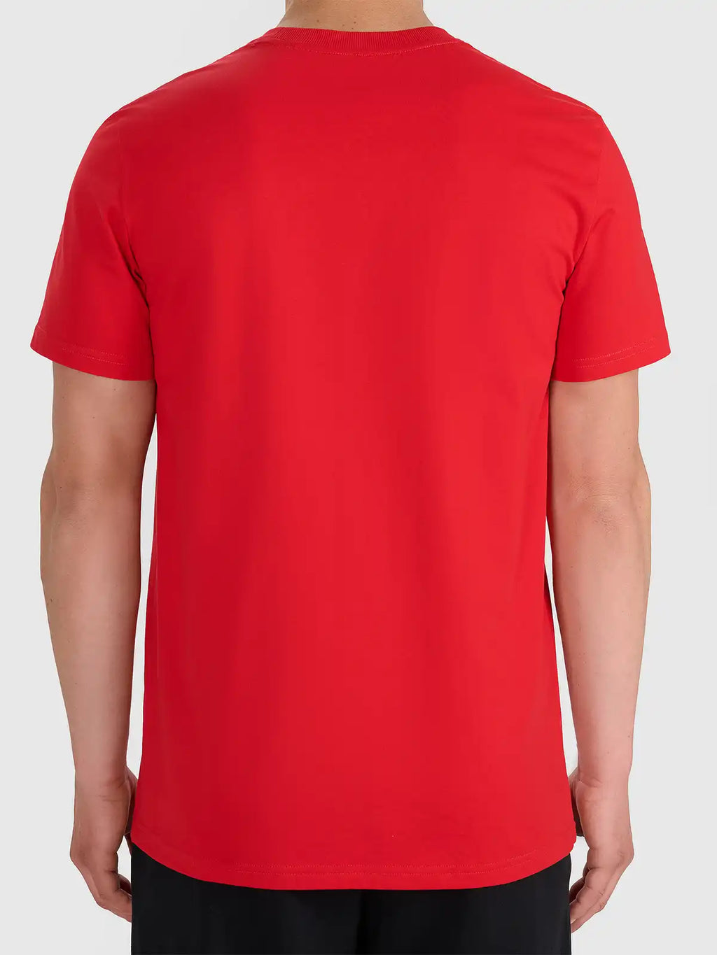 Camiseta Masculina Sportstyle - Vermelho | 4F